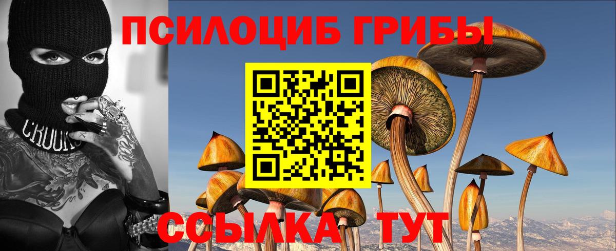 Пугачёв  Галлюциногенные грибы Magic Shrooms  Вход с VPN 