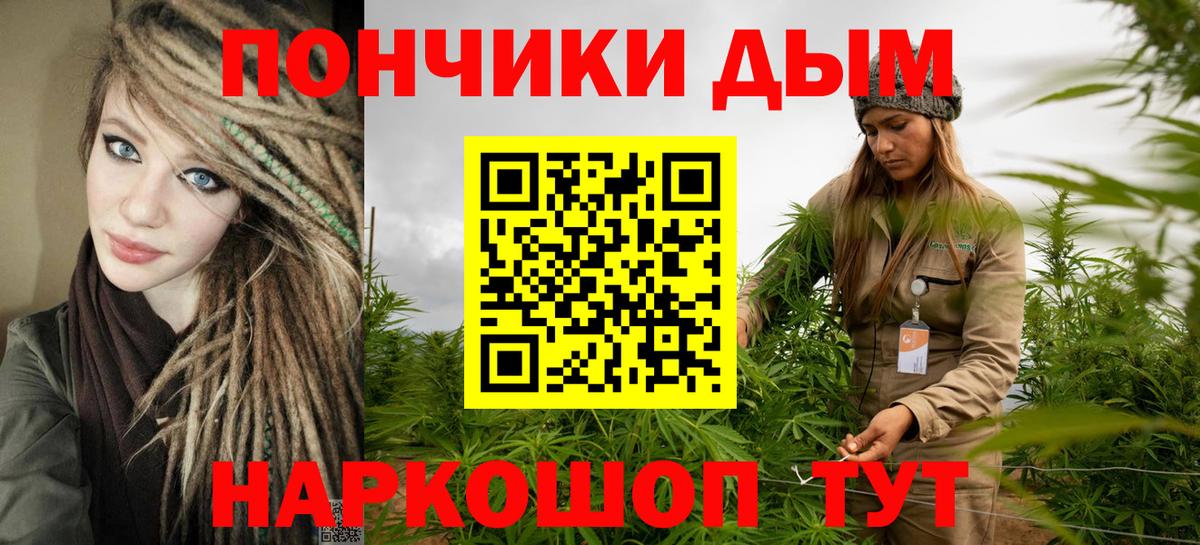 Каннабис сатива Пугачёв